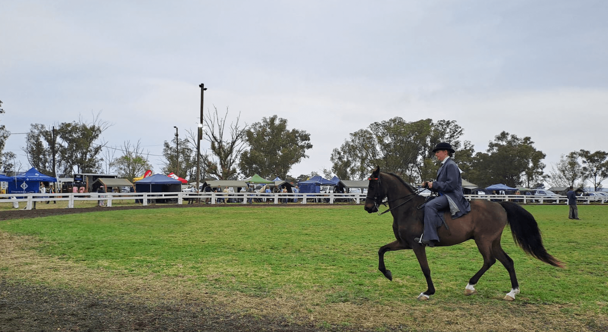 Horse jumping over an obstacle